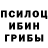 Псилоцибиновые грибы Magic Shrooms Josuke Higashkata
