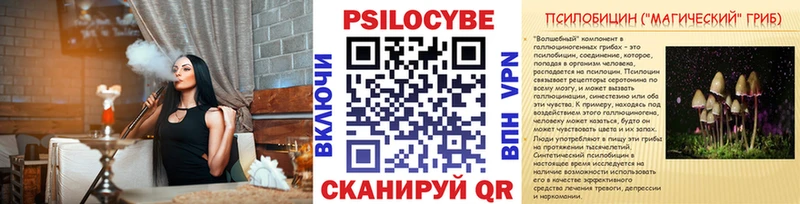 Псилоцибиновые грибы Psilocybe  купить  цена  Тулун 