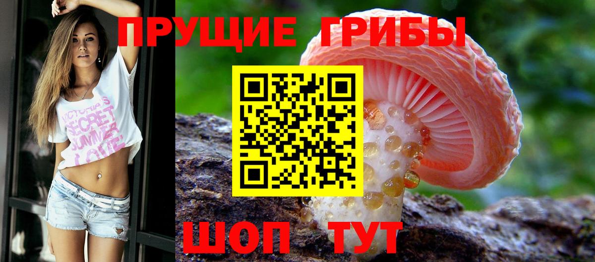 Псилоцибиновые грибы Cubensis Тулун