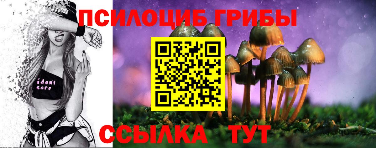 купить   Галлюциногенные грибы мицелий  Вход с VPN  Псилоцибиновые грибы Psilocybine cubensis  Тулун 